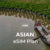 Asian eSIM Plan